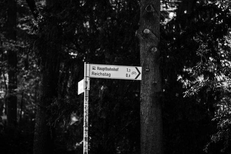 EntdeckerTours GmbH - Image 13